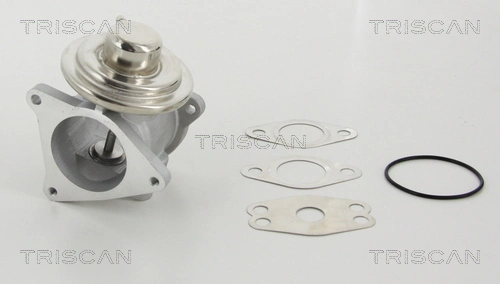 Seat Leon II (2005 - 2013) EGR egzoz gazı devirdaim valfi 