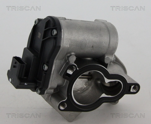 Renault Megane III EGR valfi orijinal
