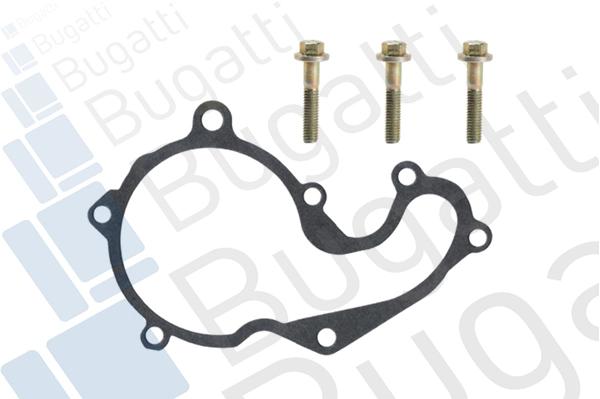 Ford Connect  Devirdaim pompası