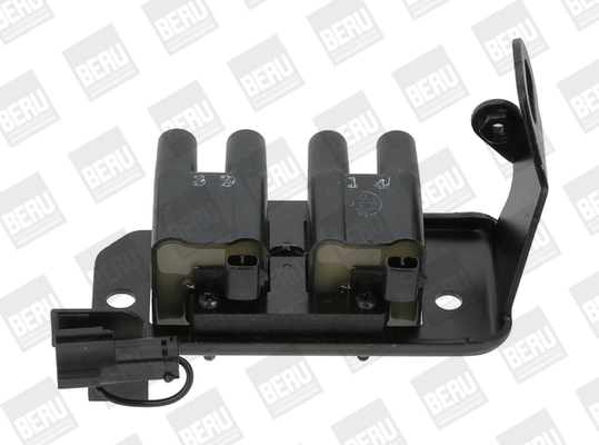 ZS486 Beru