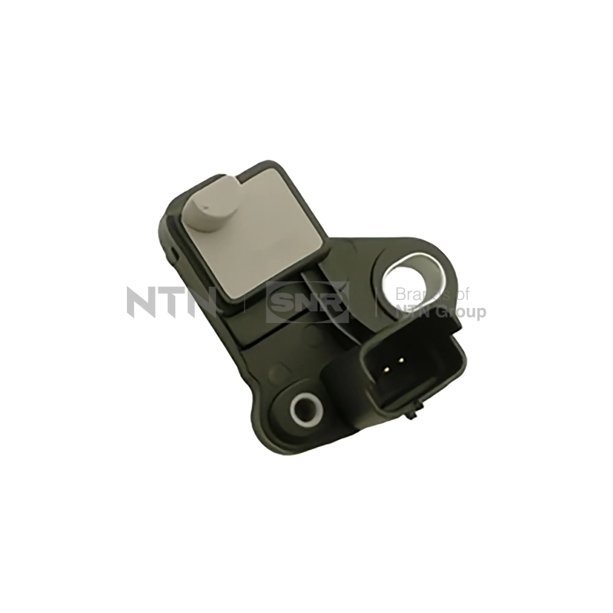 CKP15801 SNR