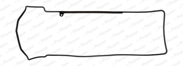 JM7028 Payen