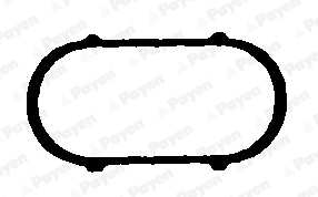 JD493 Payen