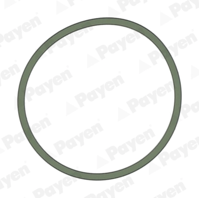 JD5228 Payen