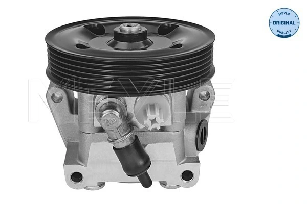 Ford Focus II Hidrolik direksiyon pompası