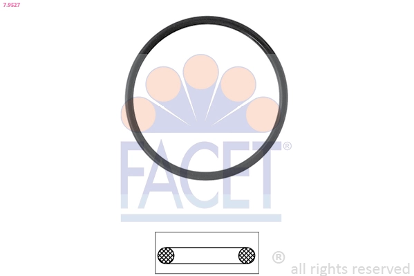 79527 Facet