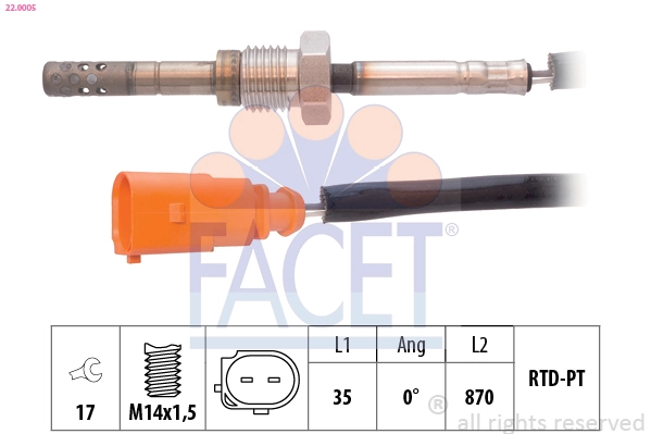 220005 Facet