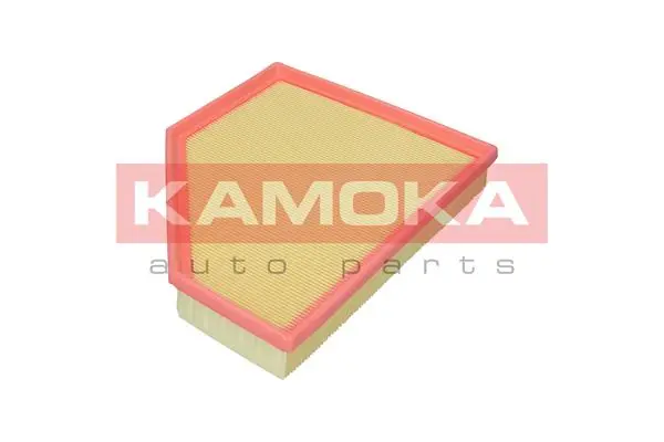 F255301 Kamoka