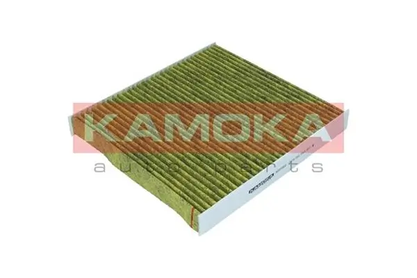 6080069 Kamoka
