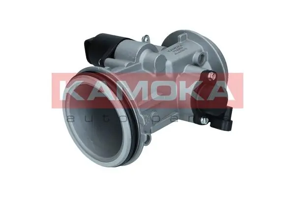 Clio SYMBOL sedan (LB0, LB1, LB2) (1998 - 2008) Gaz kelebegi