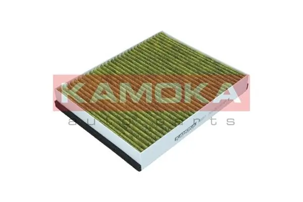 6080071 Kamoka