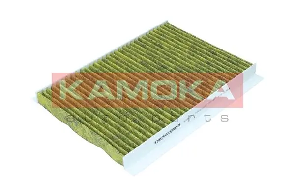 6080134 Kamoka