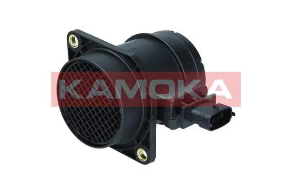 18048 Kamoka