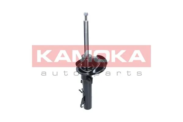 2000393 Kamoka