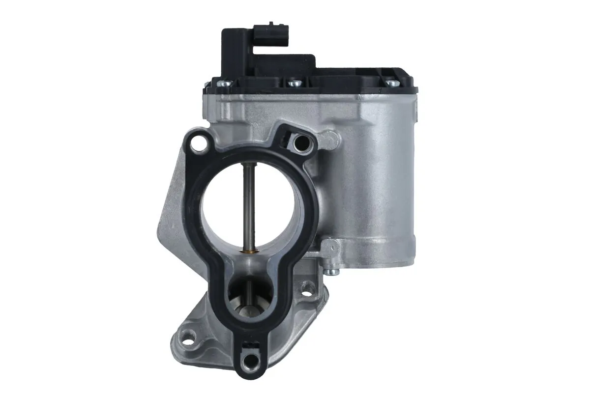 Renault Megane III EGR vanası
