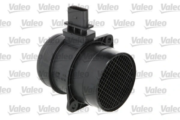 366313 VALEO