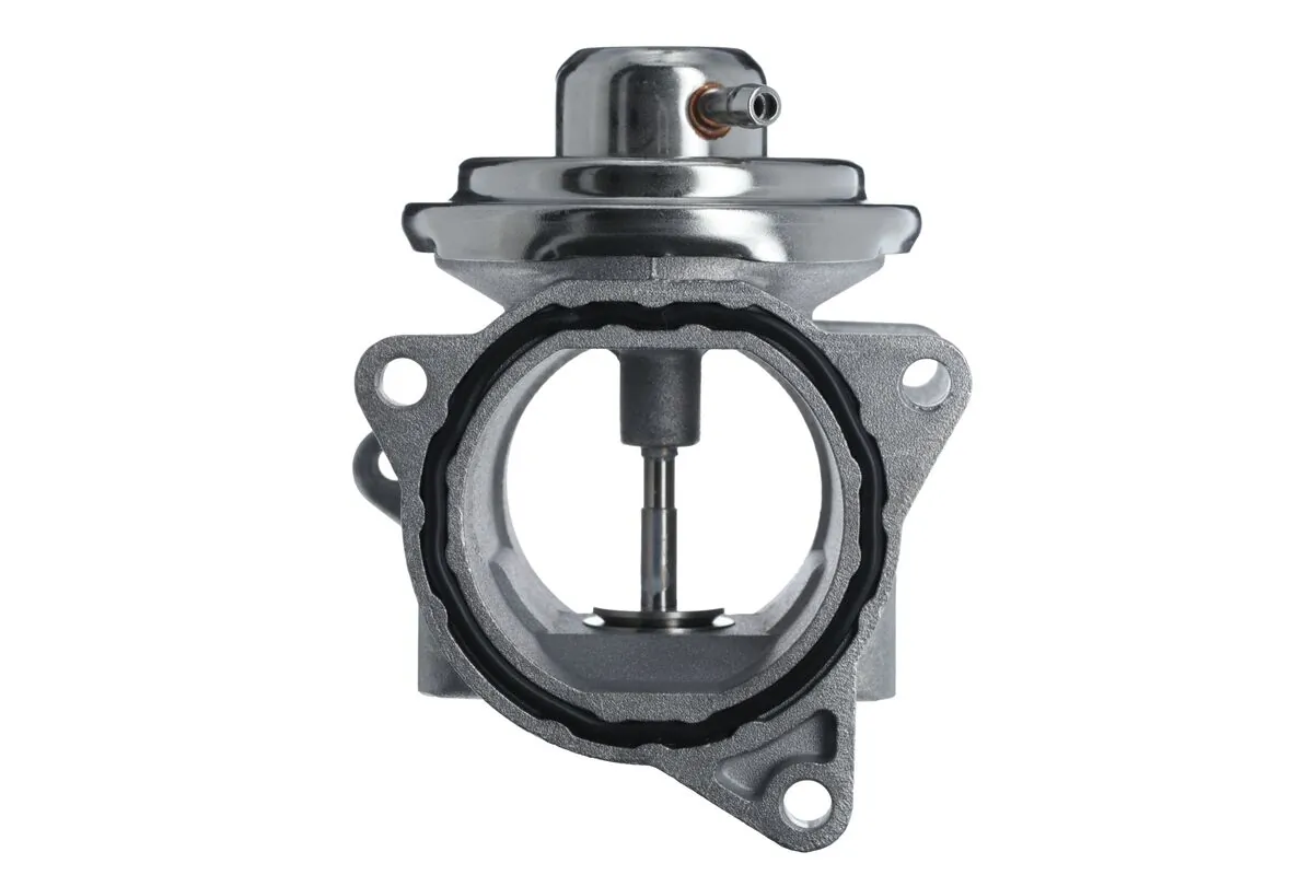 Leon II EGR vanası
