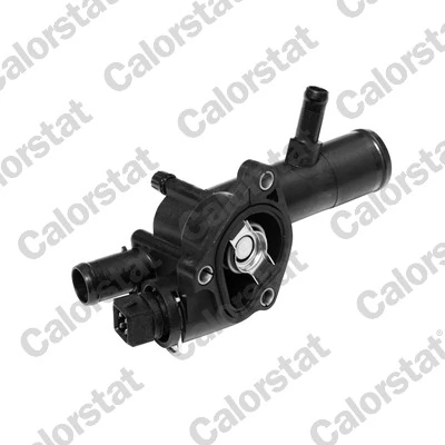 Clio II Termostat yuvası