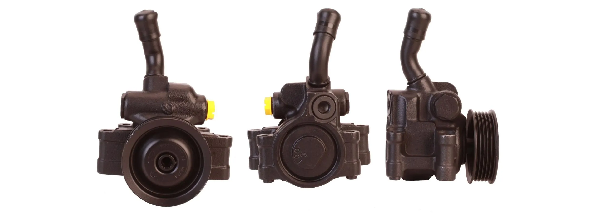 Renault 19 I Hidrolik direksiyon pompası
