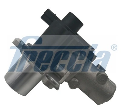 Dacia Logan EGR vanası
