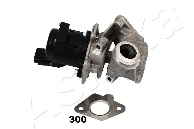 Fiesta Mk5 EGR vanası