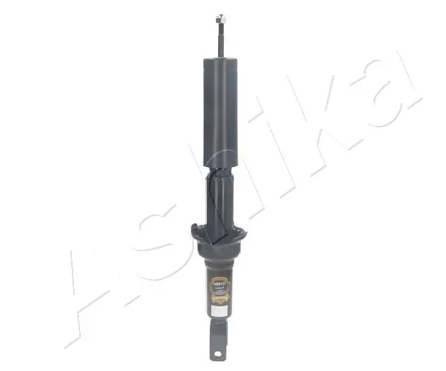 MA40013 Ashika