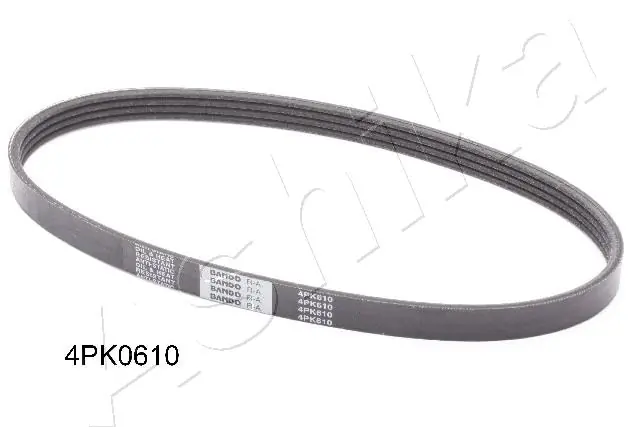 1124PK610 Ashika