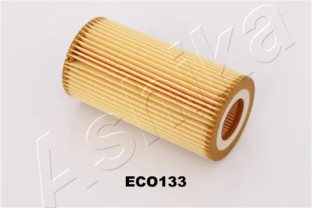 10ECO133 Ashika