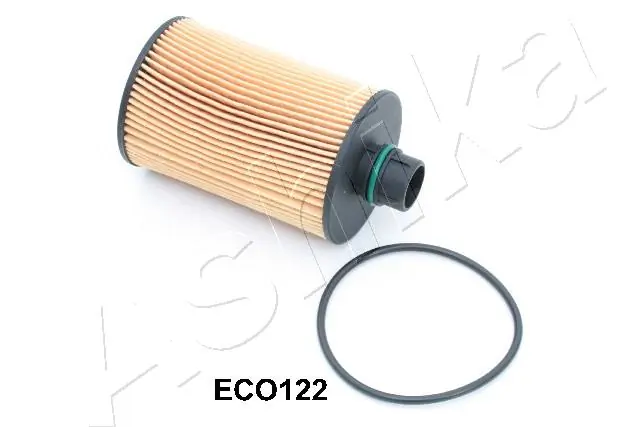 10ECO122 Ashika