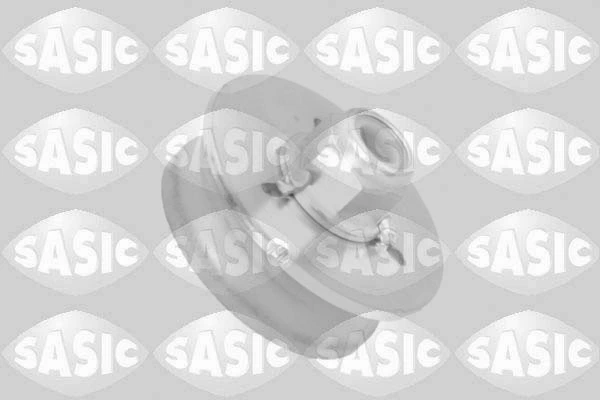 2656187 Sasic