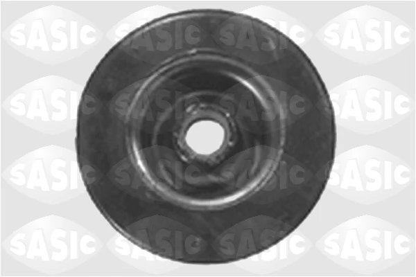 4001620 Sasic