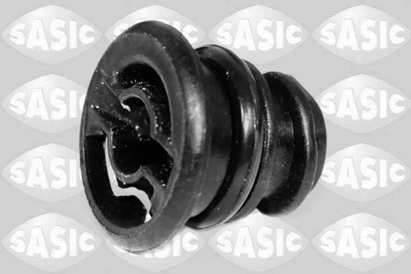 1966001 Sasic