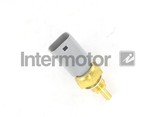 55145 Intermotor