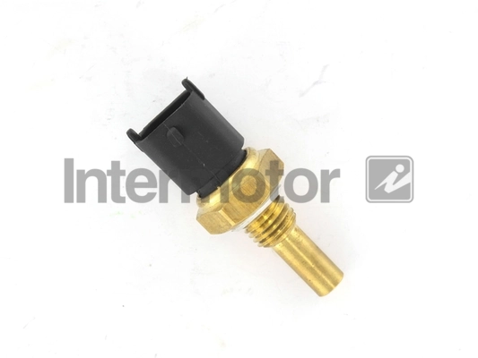 55525 Intermotor