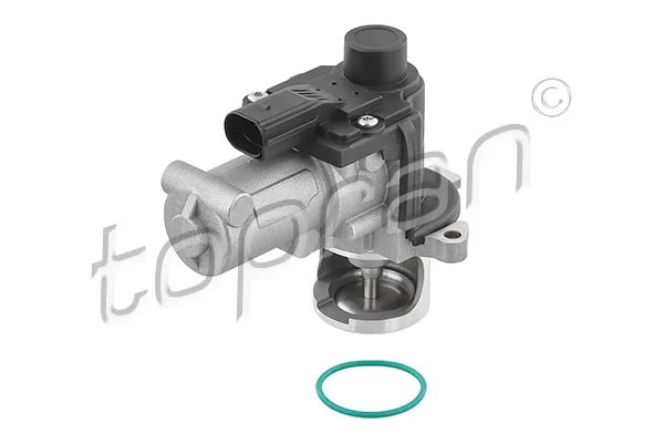 Transporter T6 EGR vanası
