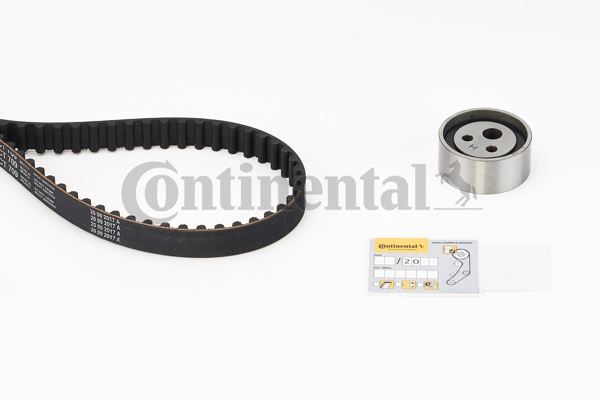 Renault 19 I Triger set