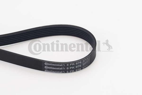 6PK976 Continental/Siemens