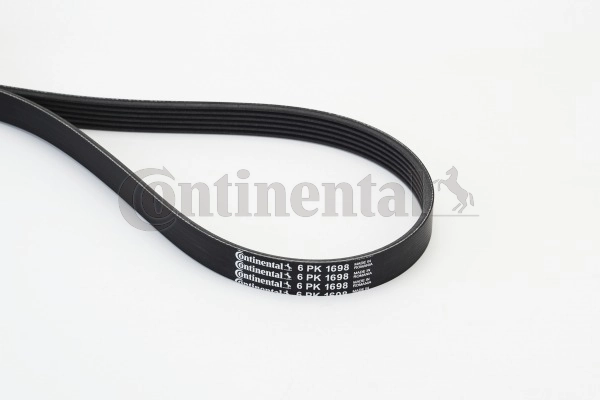 6PK1698 Continental/Siemens