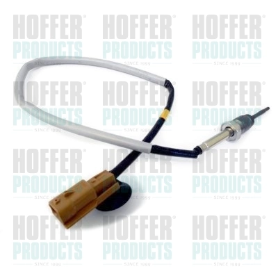 7452018 Hoffer