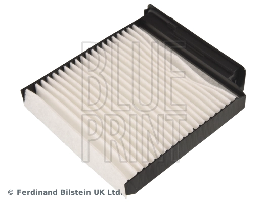 Duster off-road vehicle (HS) (2010 - 2018) Polen filtresi