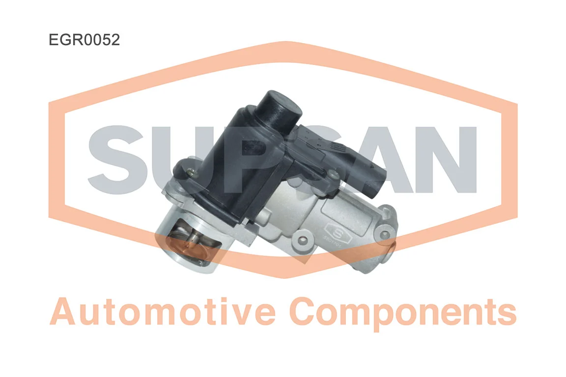 Chevrolet Captiva I EGR vanası