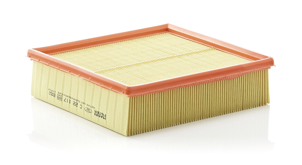 C22117 Mann-Filter