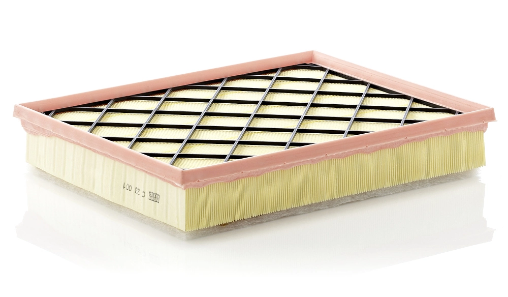 C33001 Mann-Filter