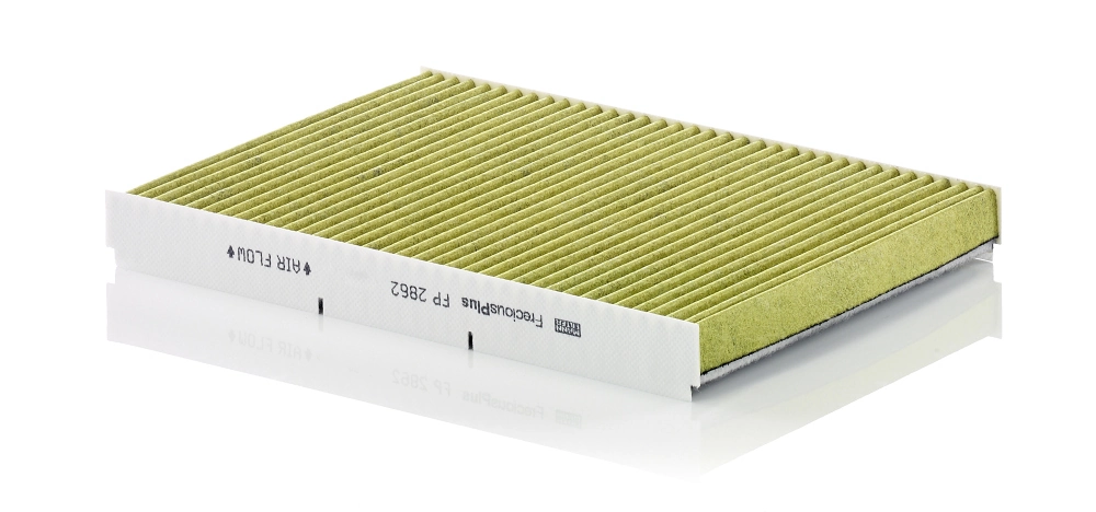 FP2862 Mann-Filter
