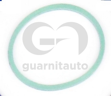 1847658300 Guarnitauto