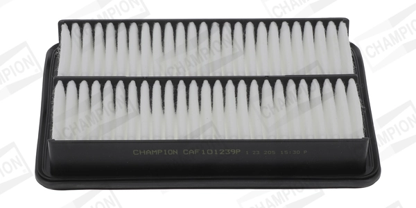 CAF101239P Champion