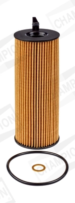COF100579E Champion