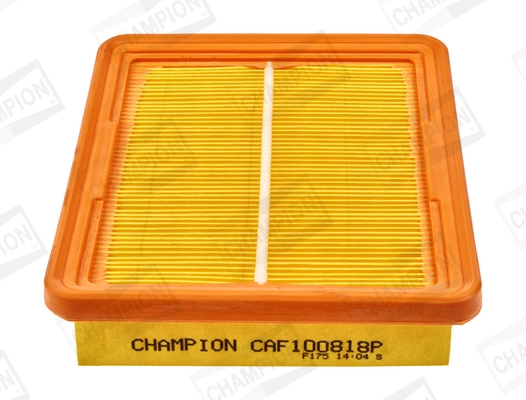 CAF100818P Champion