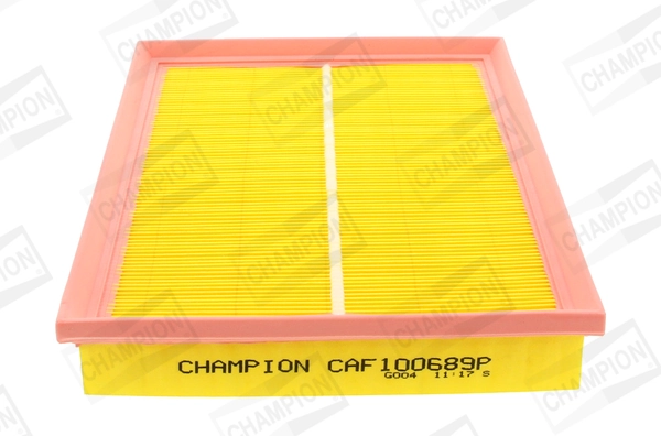 CAF100689P Champion