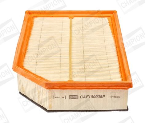 CAF100938P Champion
